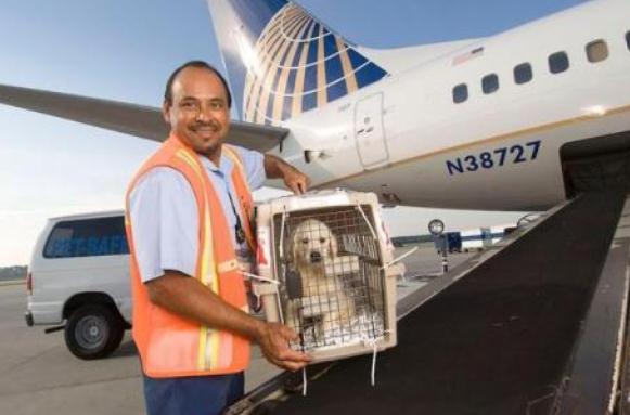 坐飞机托运行李有什么规定,坐飞机托运行李规定有哪些