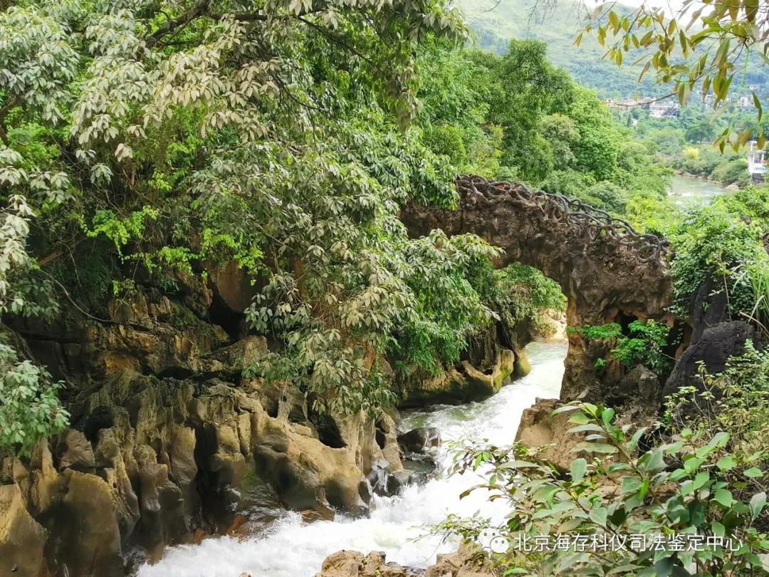 对网瘾少年该怎么管教,网瘾问题少年教育