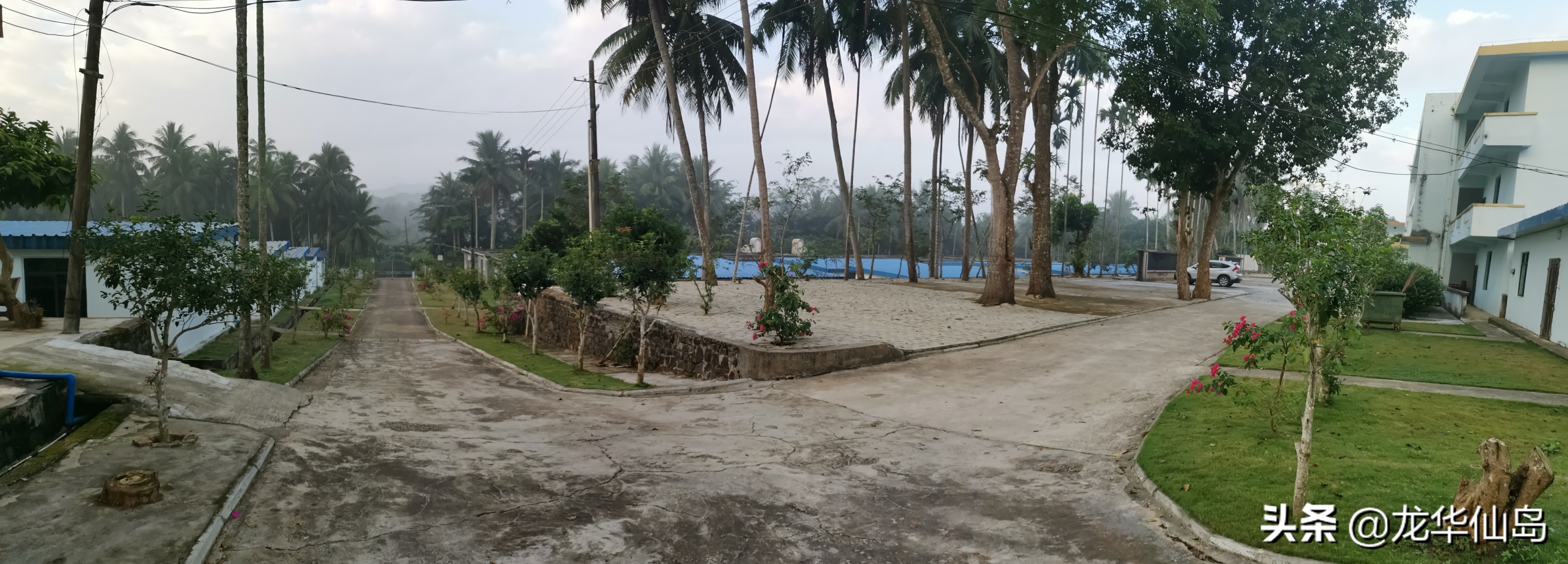 蟒蛇油使用案例与方法