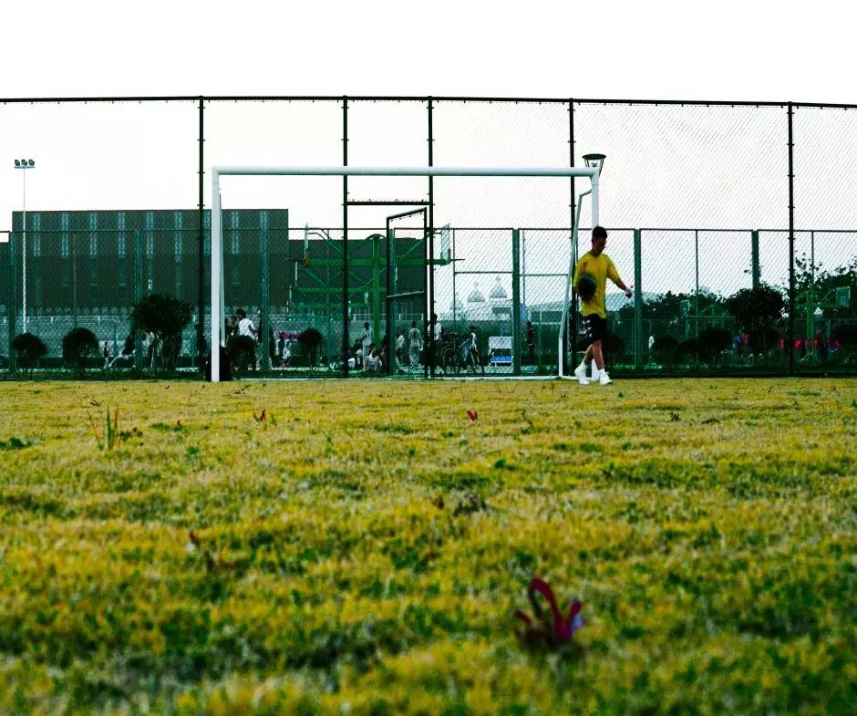 南通大学杏林学院多大面积,南通大学杏林学院排名