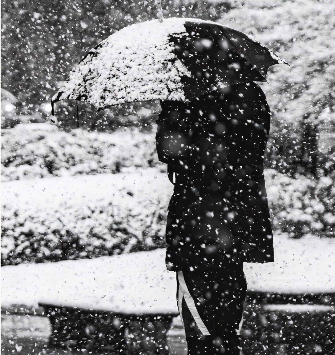 网易云热评看不透,网易云很有深意的热评