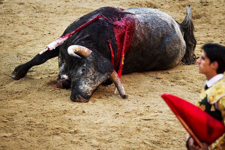 《沙王》：甲壳虫PK上帝，人性的预演，教育的反思