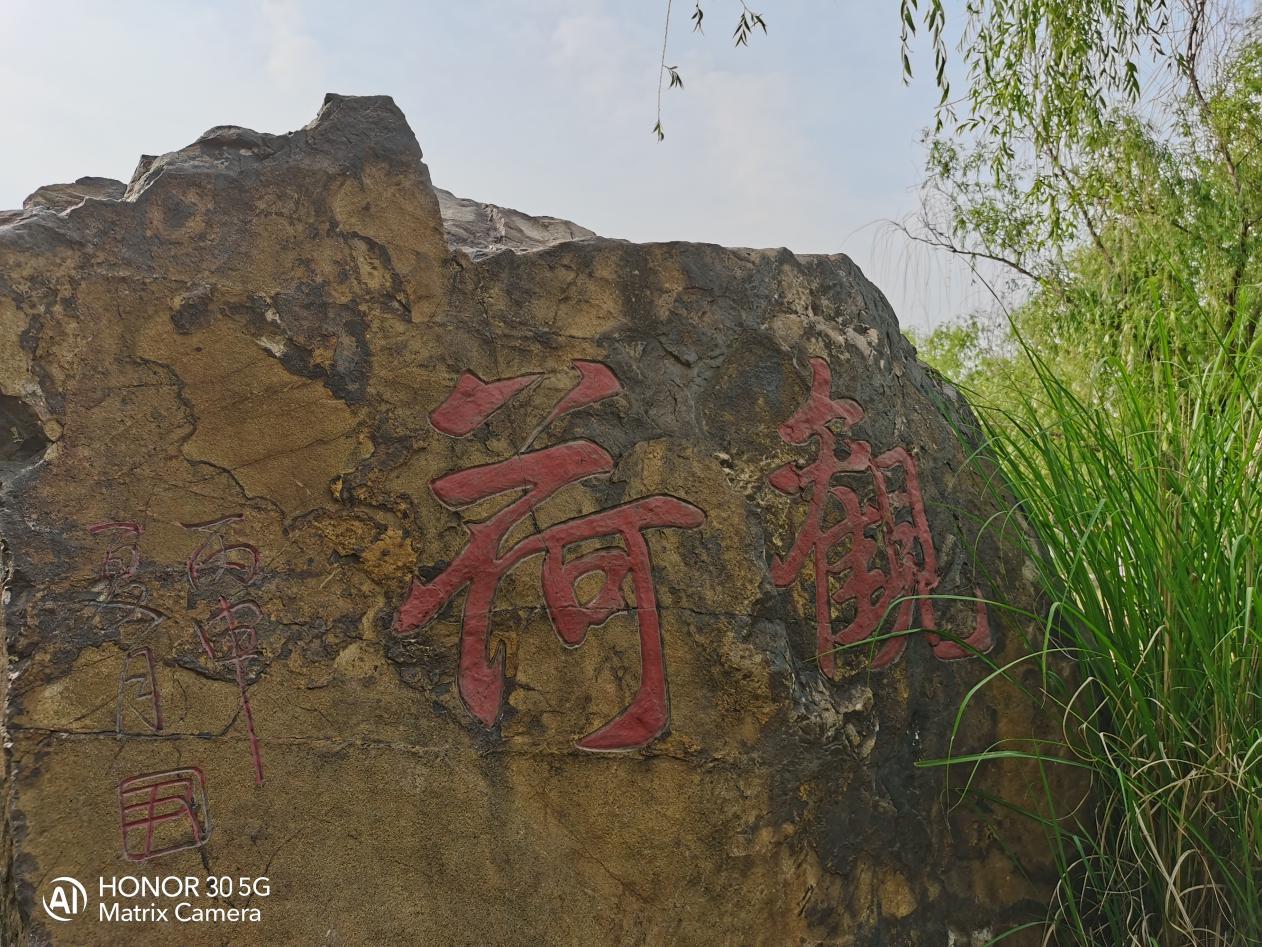 荣耀30怎么样实际测评来揭晓答案,荣耀30测评值得入手吗