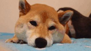 防100%紫外线帽子携带,方便携带遮阳帽防紫外线