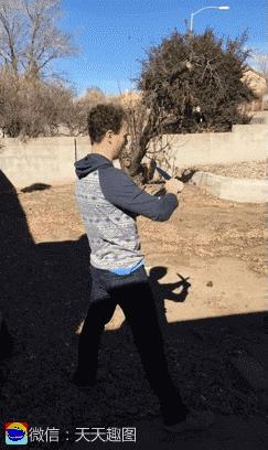 搞笑视频专治不开心,搞笑动图gif女司机