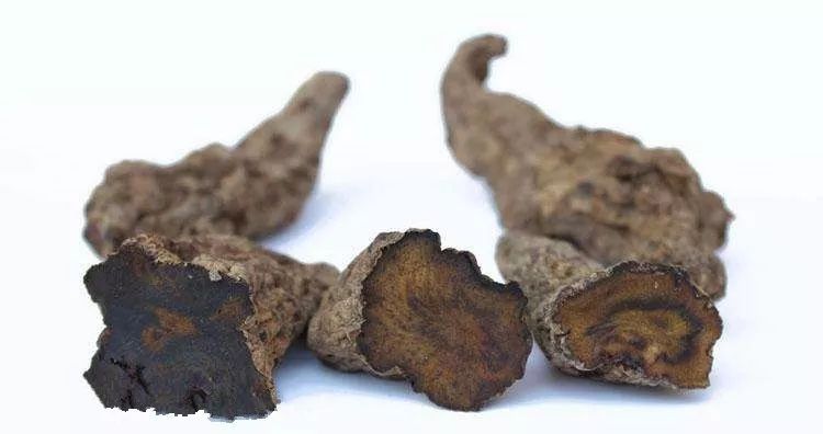 我用百合、生地黄为首，拟出一方，治好了患者3年的卵巢肌瘤