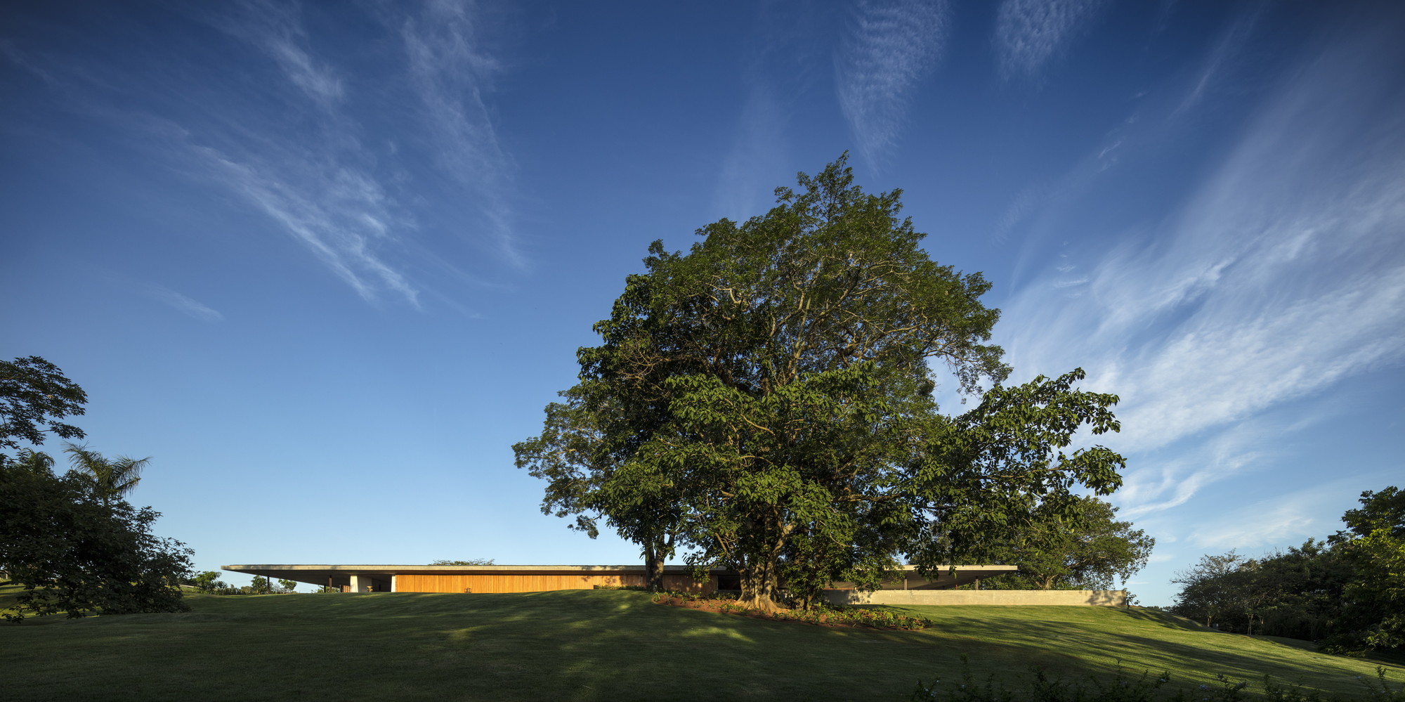 1000m²屋顶满种绿草，消隐在田园水光里的家