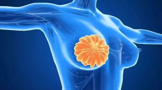 阴雨天就穿这款艾草内衣，穿出乳腺健康，美得让人心动！