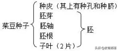 初中生物会考复习计划,初中生物会考复习资料全套