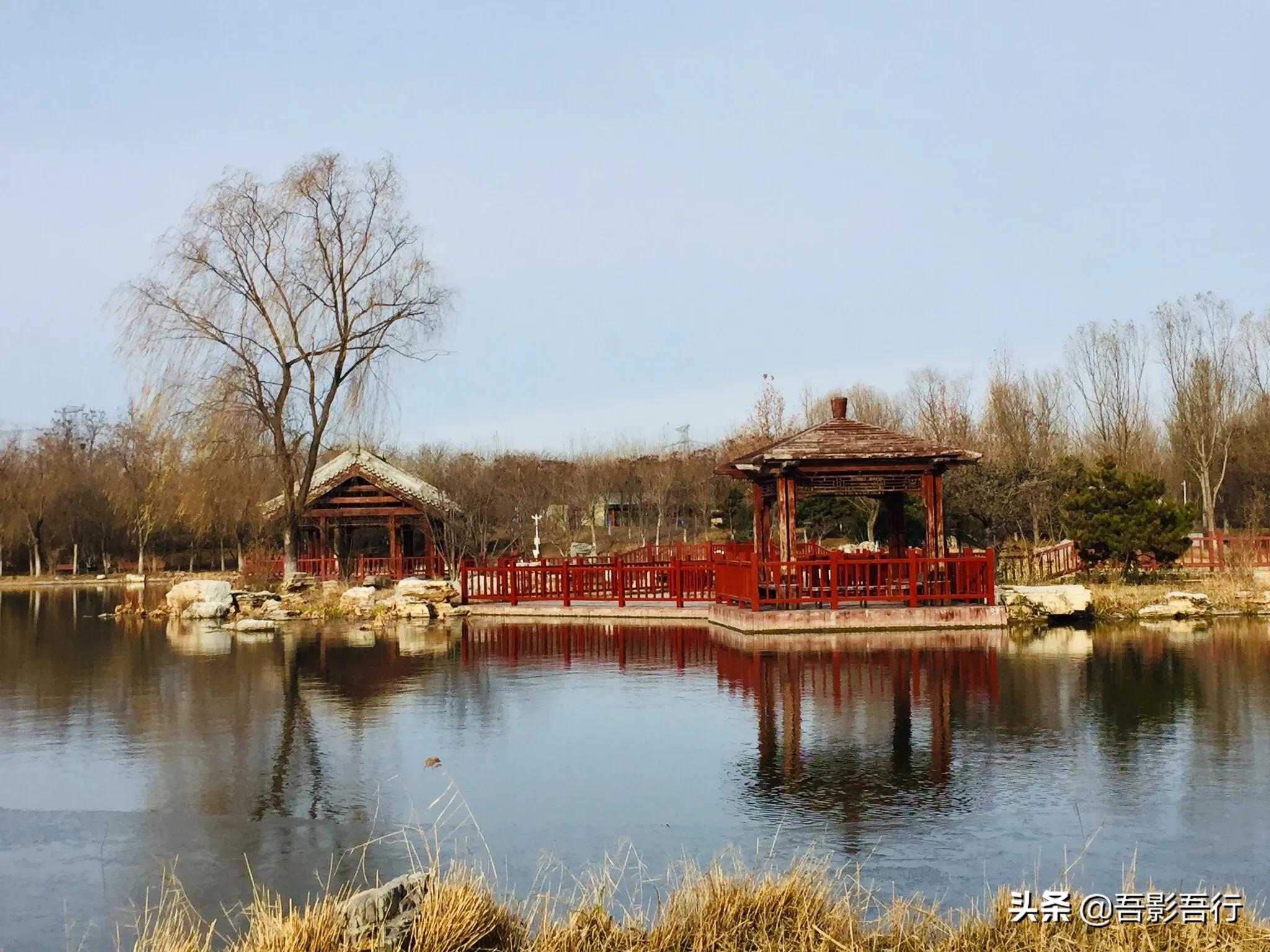 武清津北森林公园有哪些景色,天津武清森林公园开放时间表