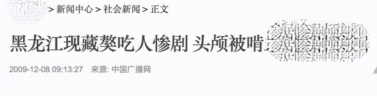 藏獒市场的兴起和崩塌,藏獒从身价不菲到沦为狗肉