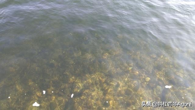 丹东朝鲜观光,以游客的视角看待自己生活的城市