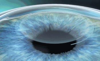 公务员体检视力要求最新标准,公务员体检矫正视力不合格