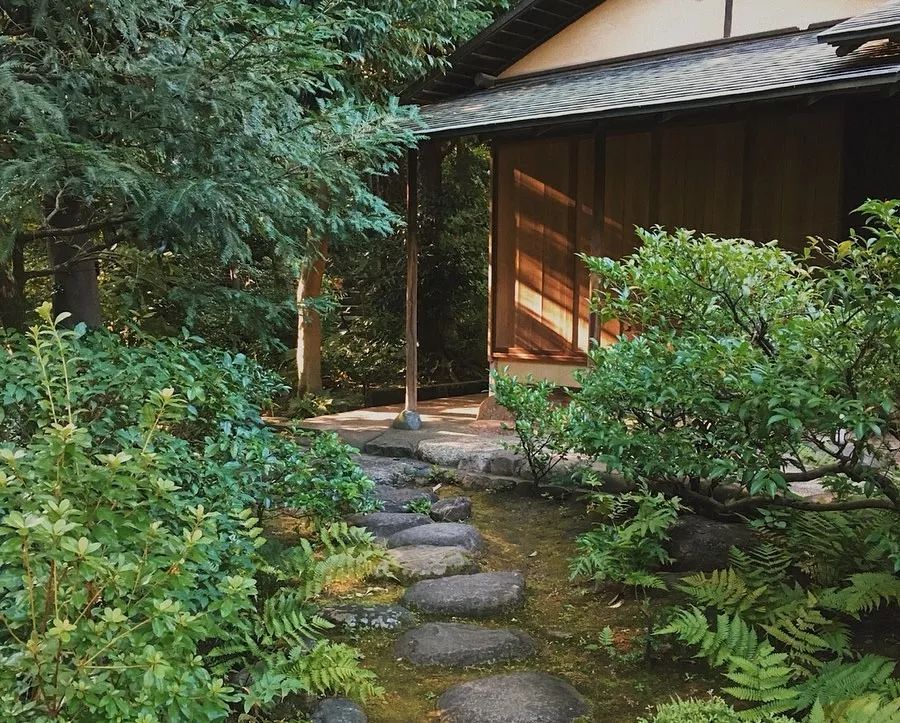 东京自由行攻略详细版,东京自由行全攻略