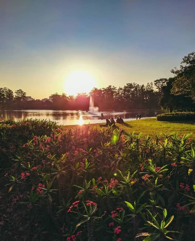 半城繁华半城园，春来十城早知道