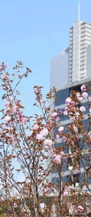 江西中医药高等专科学校能单招吗,江西中医药高等专科学校升本科吗