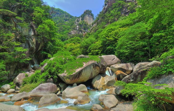 玩转日本,玩转日本自由行