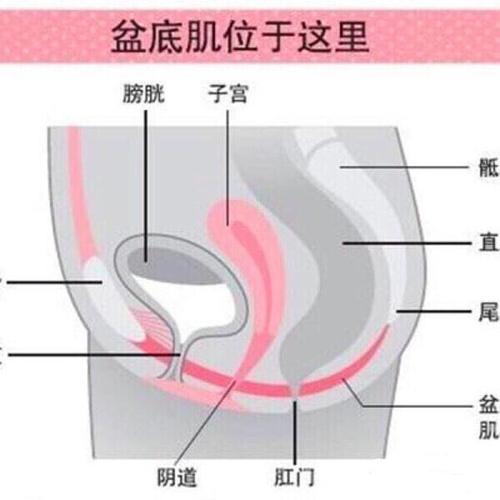 杨幂分享产后身材恢复迅速的经验,baby杨幂有多像