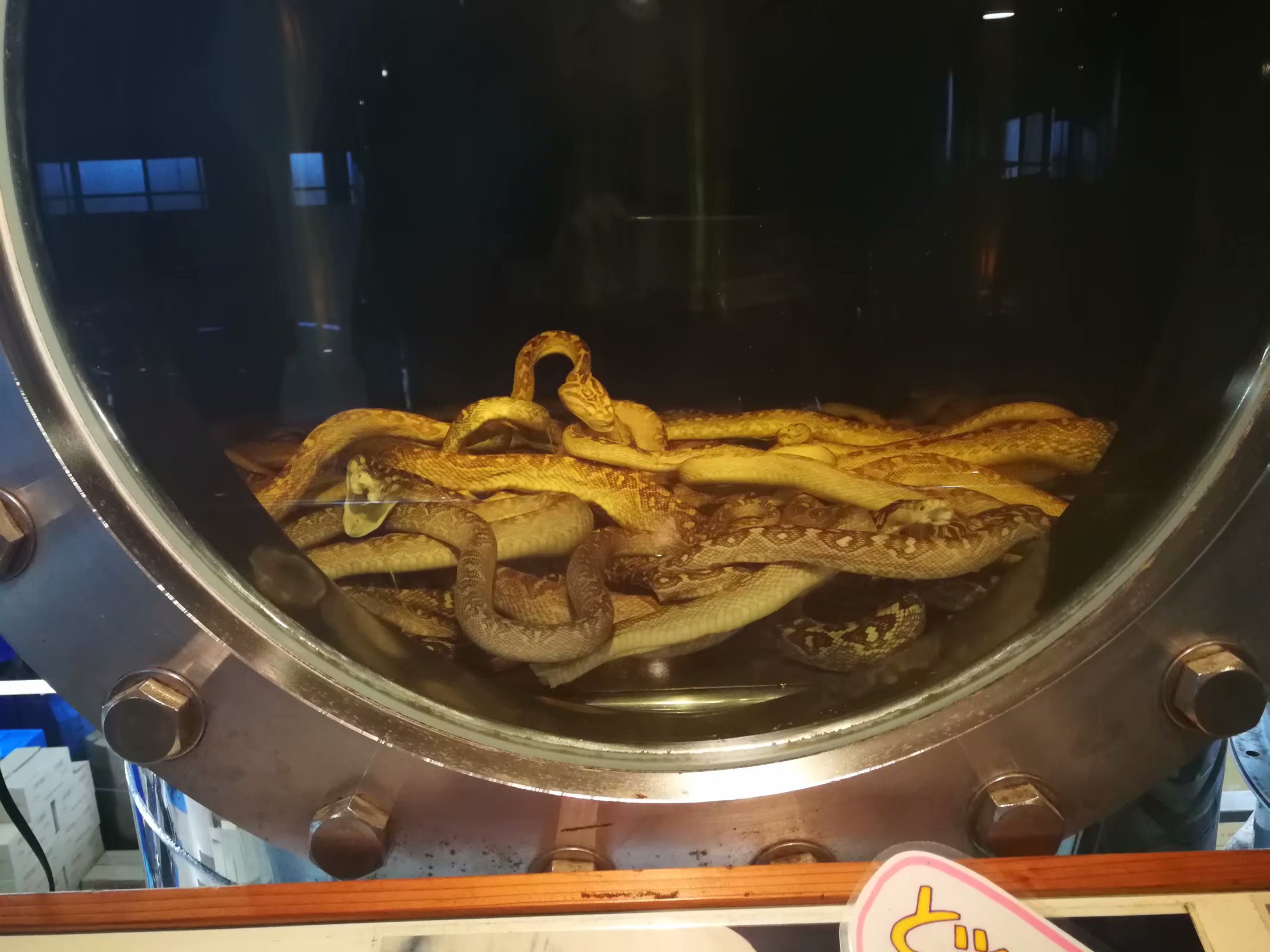 古琉球王国首都首里城遗址,探秘古村落