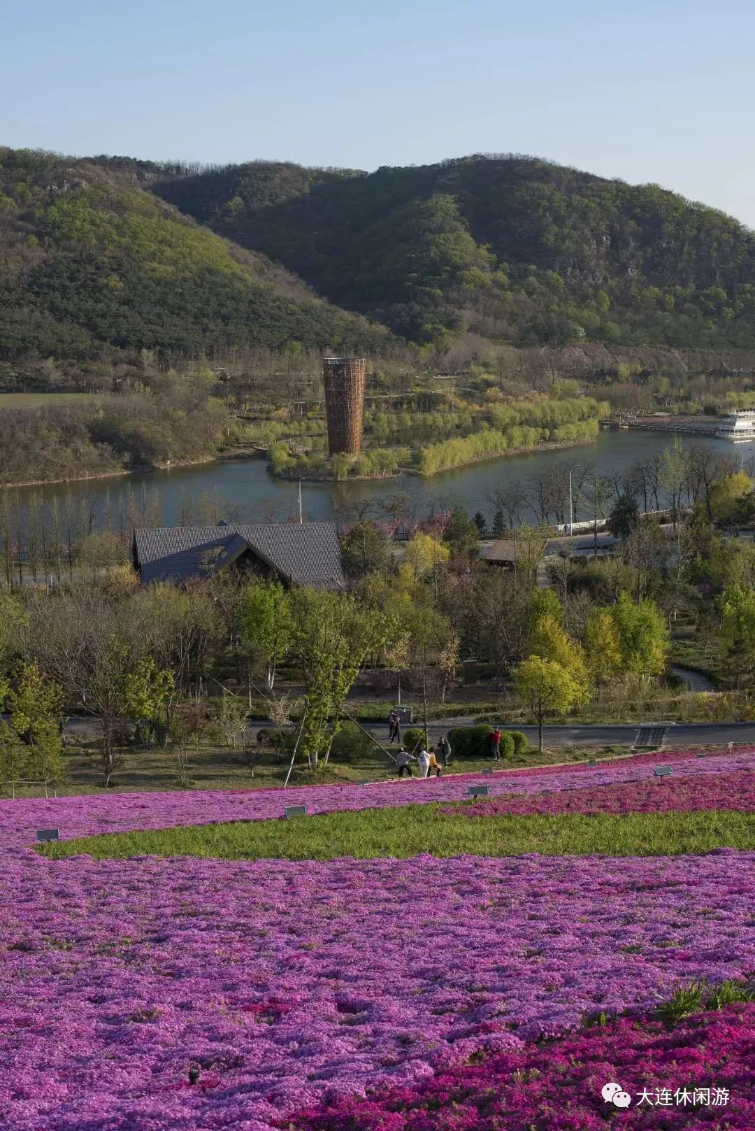 大连附近哪里有花海,大连一片花海
