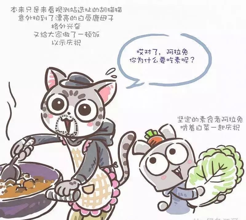 漫画家韩李李：为什么有的生命还在跟你说话，有的却变成了一道菜