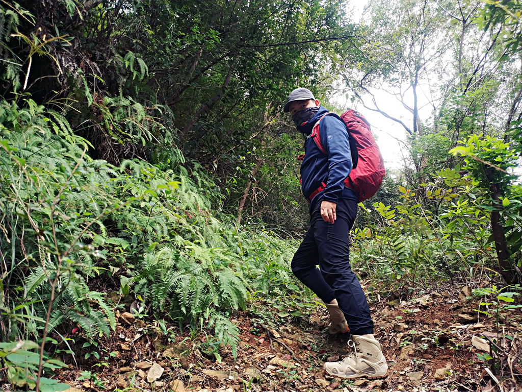 要尽兴,lowazephyrgtx评测