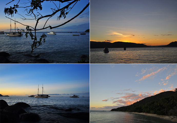 全民热遗|大堡礁上有个翡翠岛,绝美好玩,还是海龟康复中心