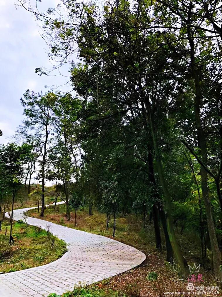 心途漫漫,心遥路漫漫的文章