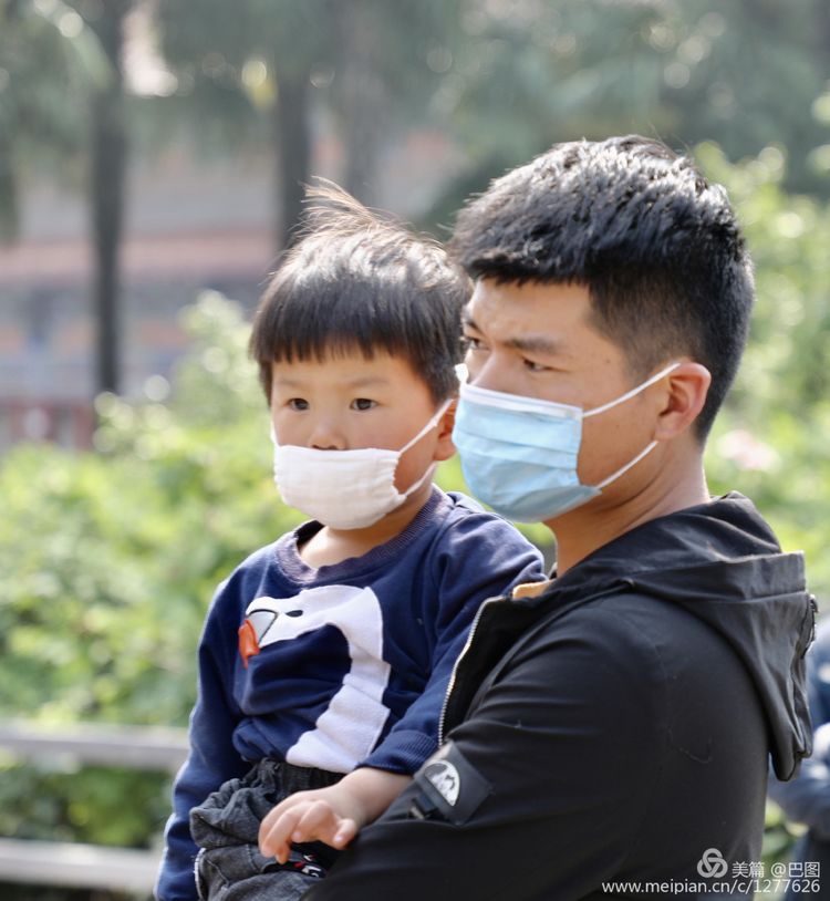 看洛阳牡丹花卉节,洛阳古都牡丹花展