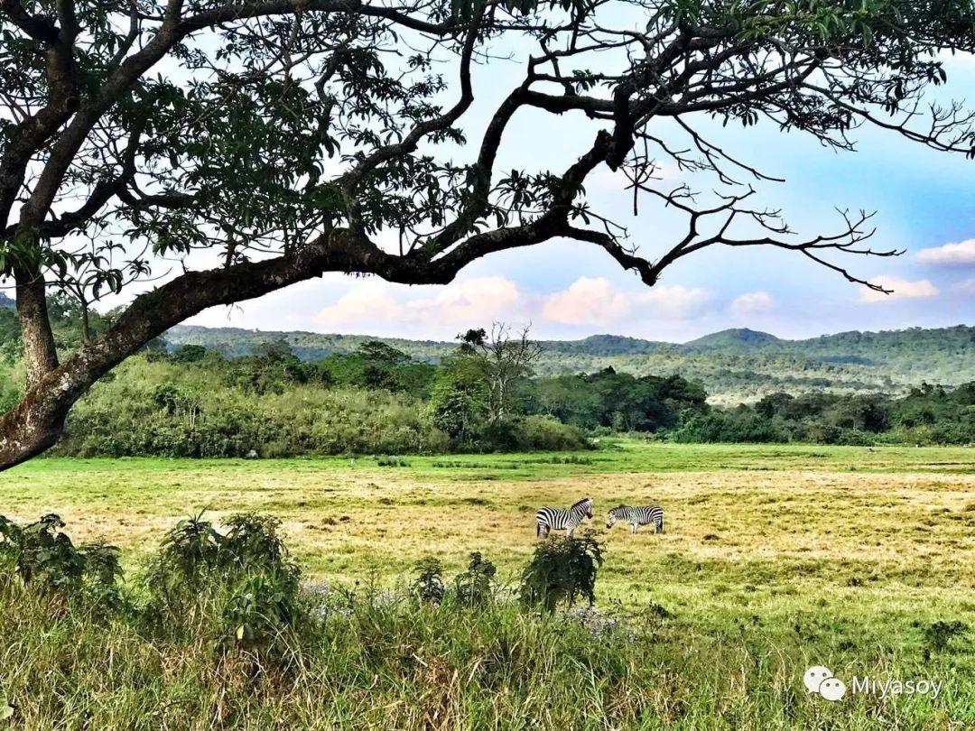 乞力马扎罗雪山冰川,住在珠穆朗玛峰山脚是什么感觉