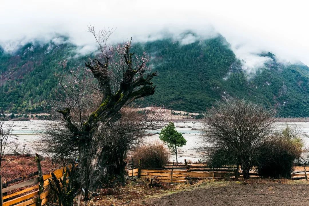 有一种风情叫江南烟雨,波密西藏江南