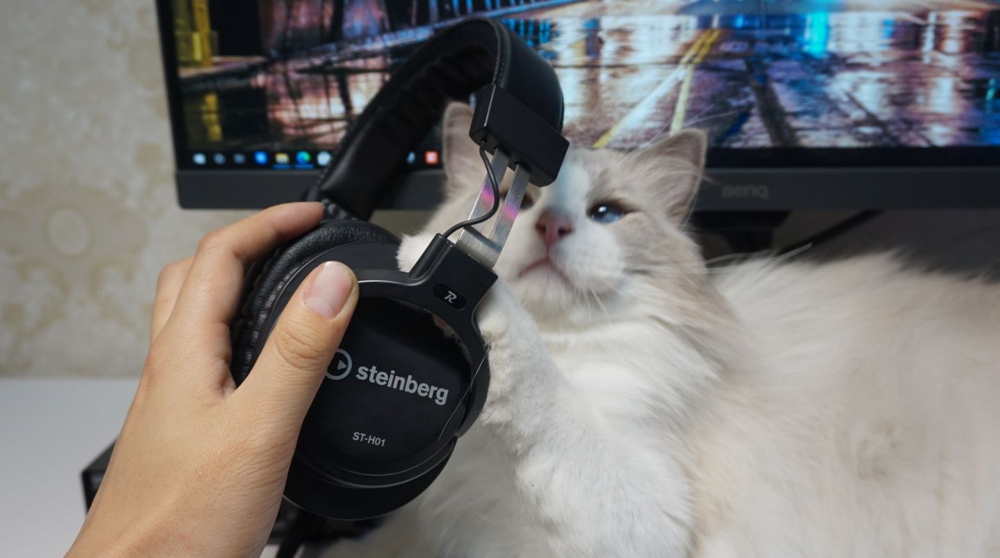 雅马哈242声卡怎么直播,雅马哈ur242声卡直播效果