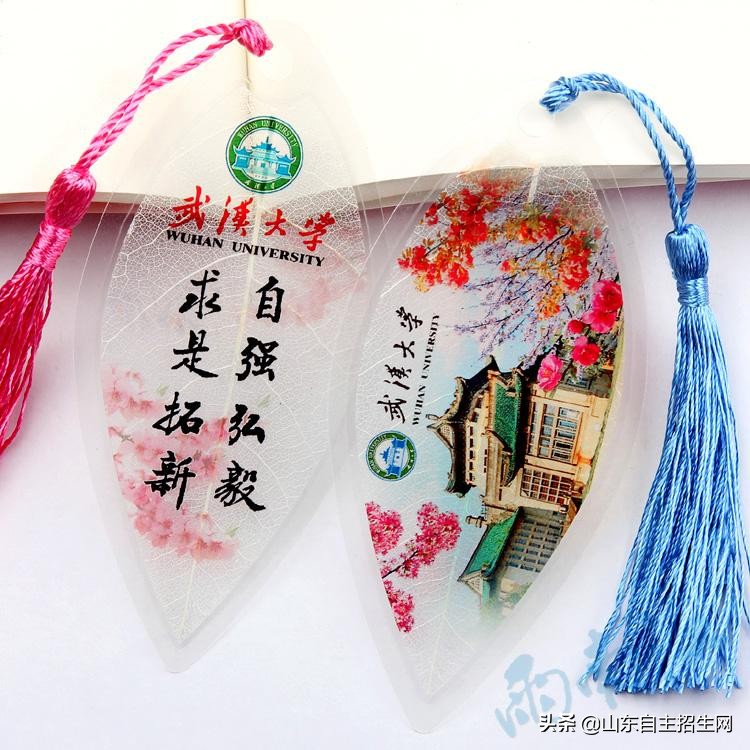 高校自主招生自荐信模板范文,本科自主招生自荐信范文