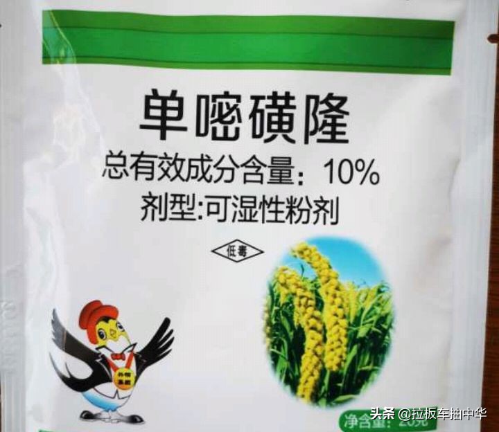 抗性杂草~狗尾草（附防除办法）