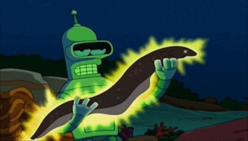 玩了一下电鳗,他口吐白沫倒下了