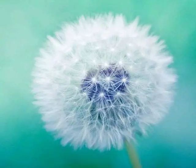 人生和电影一样都是以余味为标准,人生与电影一样都是以余味定输赢