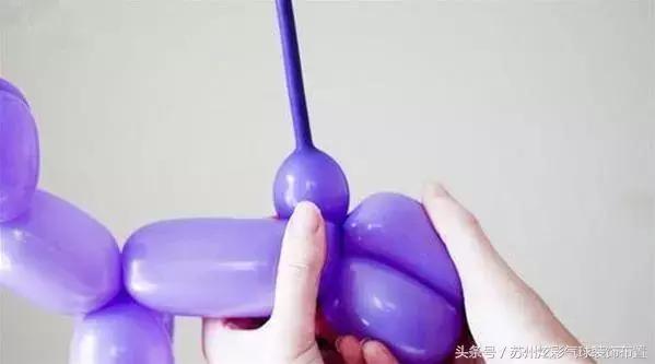 怎么折一只气球狗,用气球折小狗的教程