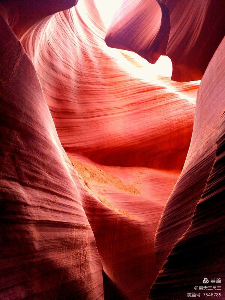 鍖楃編鏋儏闃虫柊,鍖楃編鏋儏鍥剧墖