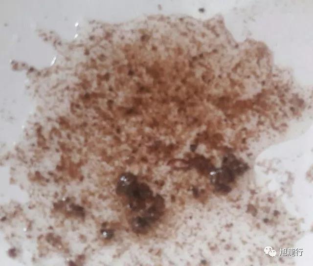 秋风起秋膘贴,秋风起贴秋膘喝羊汤