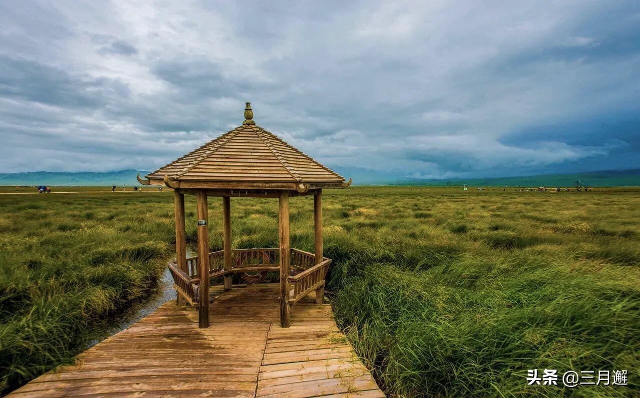 下雨天的若尔盖能去吗,阴雨天的若尔盖花湖