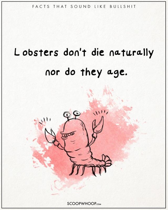 10条有意思冷知识,100个绝对颠覆你认知的身体冷知识