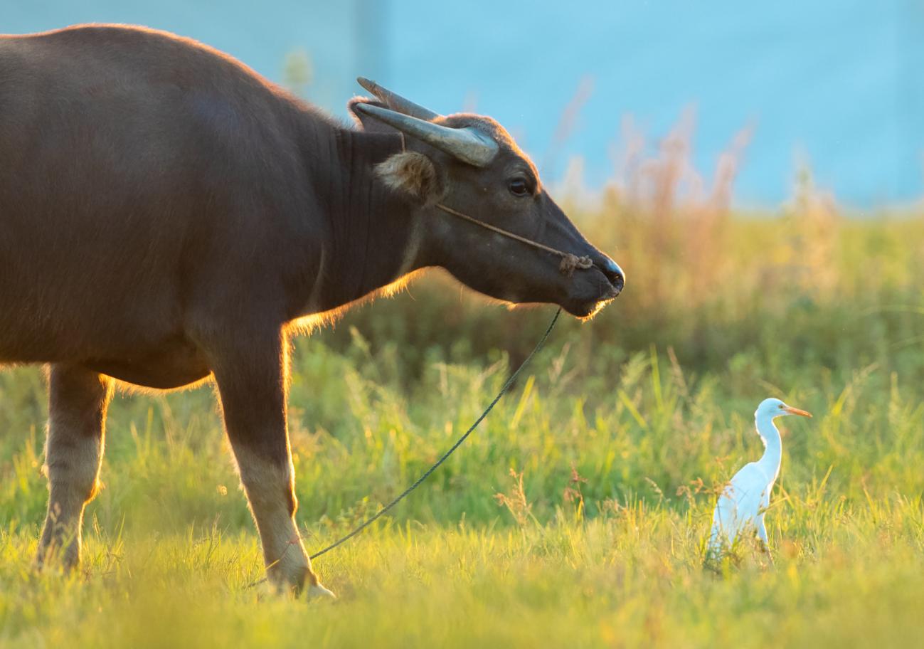 用镜头捕捉瞬间用光影记录感动,用镜头记录人生用心灵感悟美好