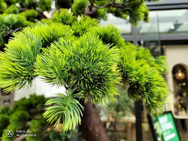 nex3s国产屏,全面屏手机nex3