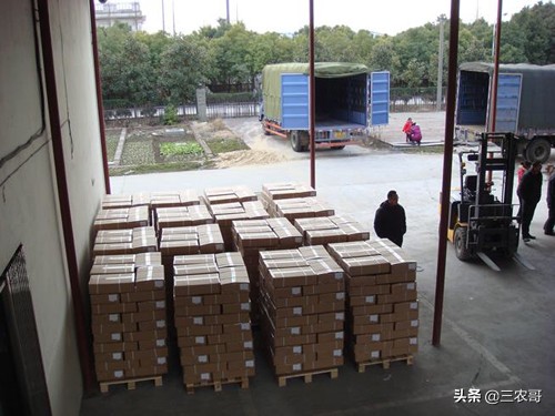 农村未来五大热门创业项目,30个农村小投资创业致富项目