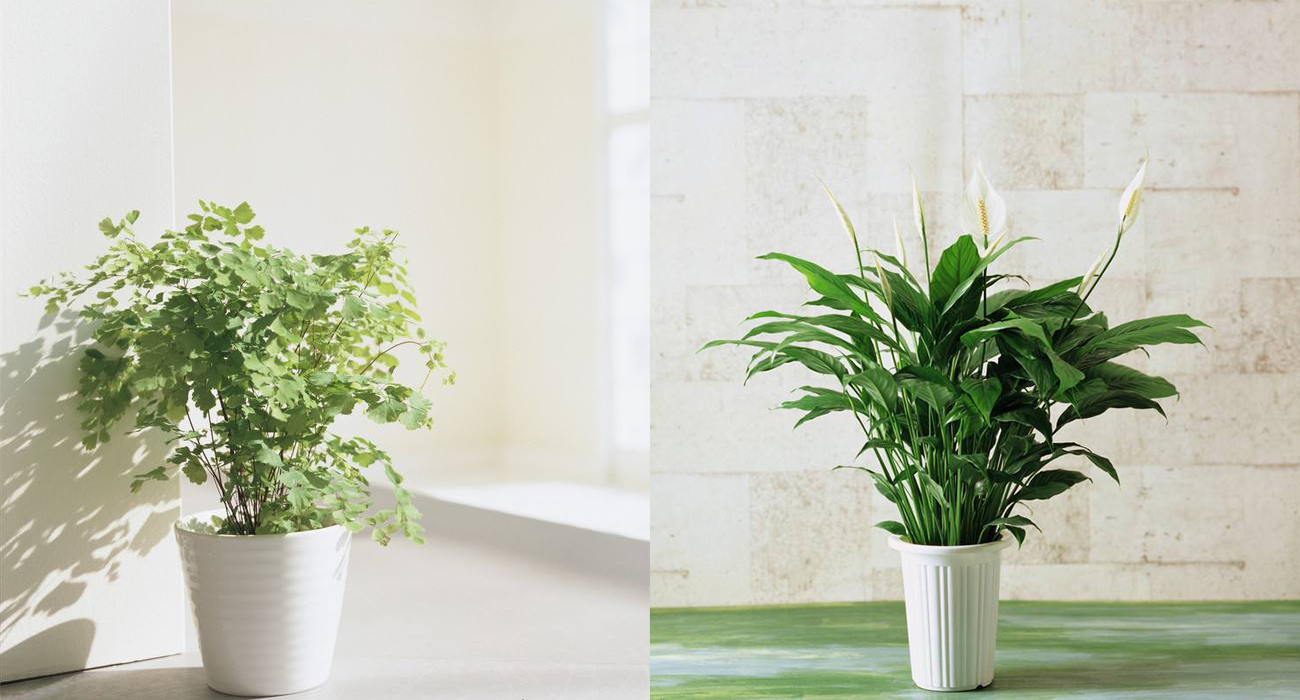 家具马克笔效果图,马克笔怎么上家具颜色搭配