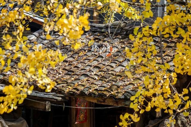 邂逅秋的王国：腾冲，你已在我心间