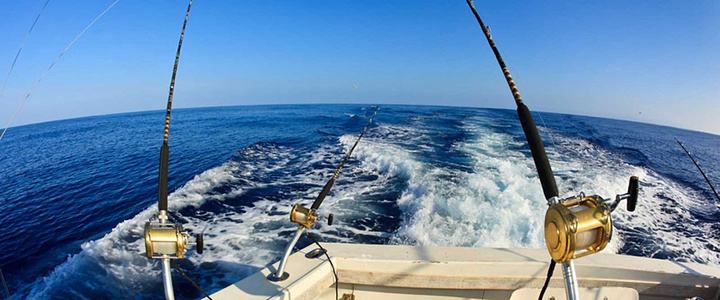 不会游泳去夏威夷玩什么,除了游泳还能去哪儿玩儿