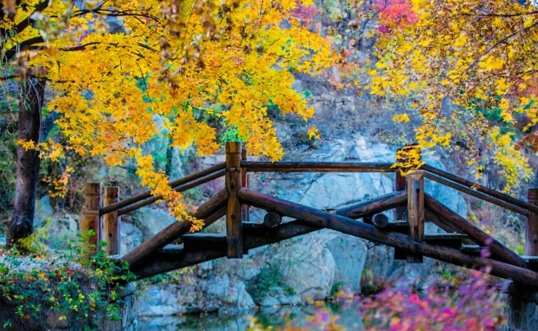 九如山什么季节去最好,九如山赏枫一日游