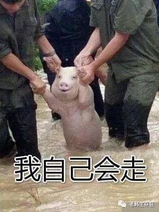 生存战争缺水了怎么办,生存战争遇到岩浆怎么办