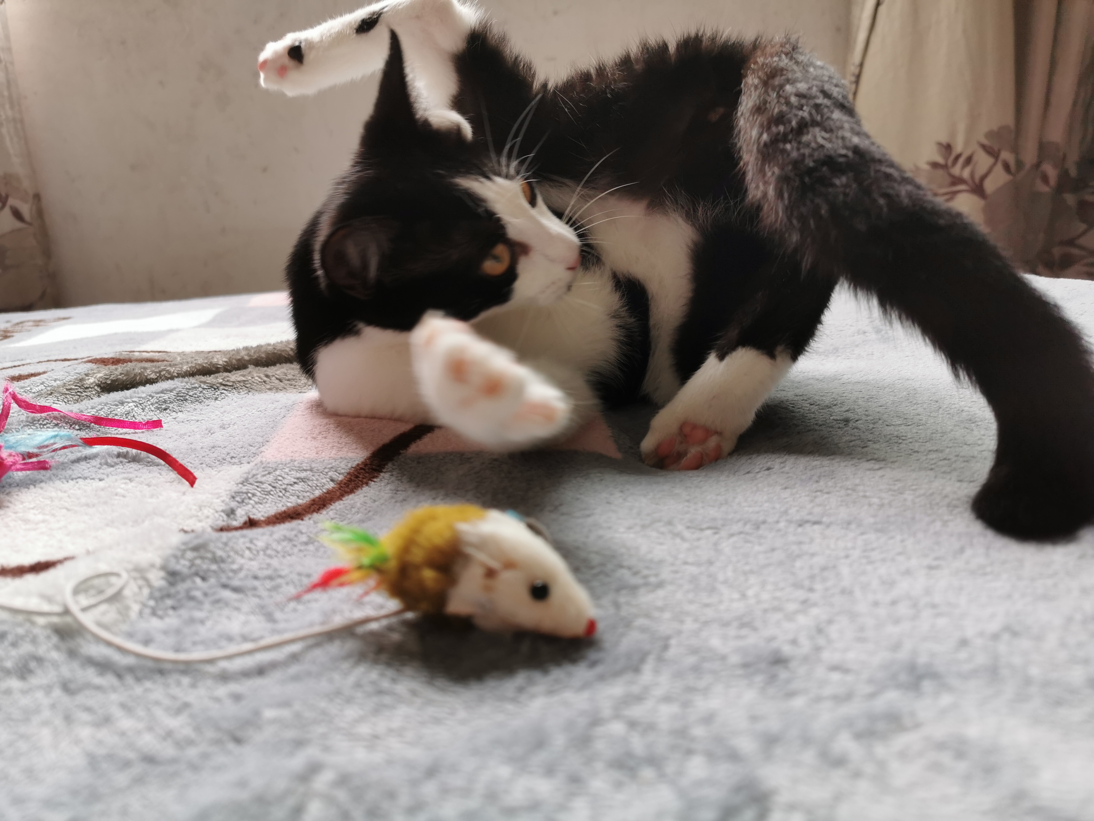 下雨天了我好想你歌词,下雨天了怎么办我好想你原版